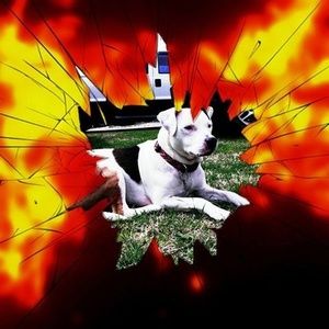 Meet your Posher, Richard